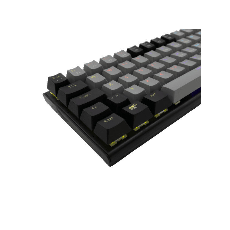 Tastatura White Shark GK-002722 WAKIZASHI Blue Sw HR