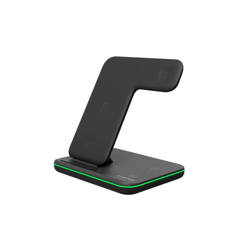 Wireless Punjac Canyon WS-303 15W 3in1