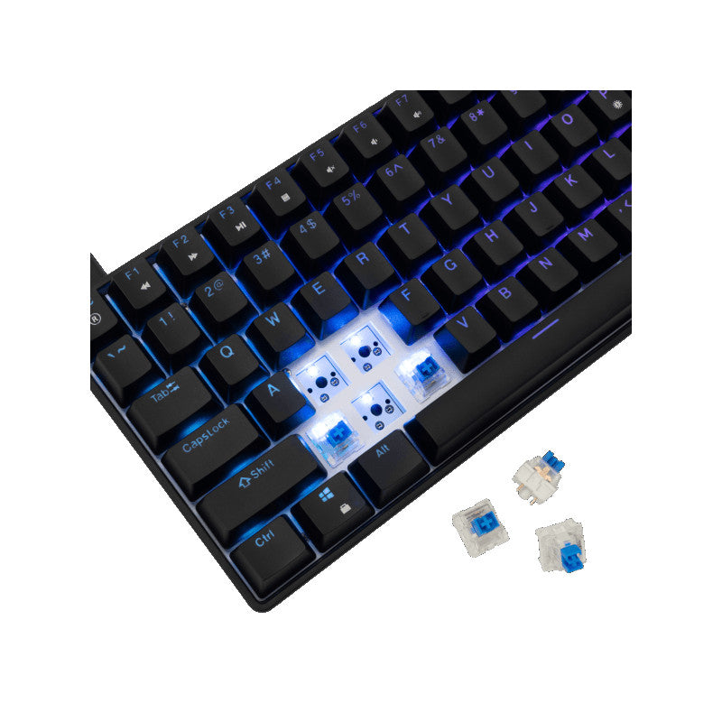 Mehanicka Tastatura White Shark GK-005121 HAMACHI Blue SW US